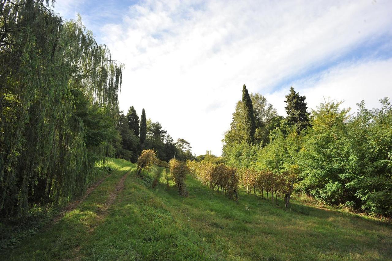 Il Convento Di Villa San Fermo Lonigo Eksteriør billede